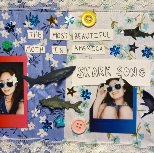 The Most Beautiful Moth in America - "Shark Song"
Recording/Mastering