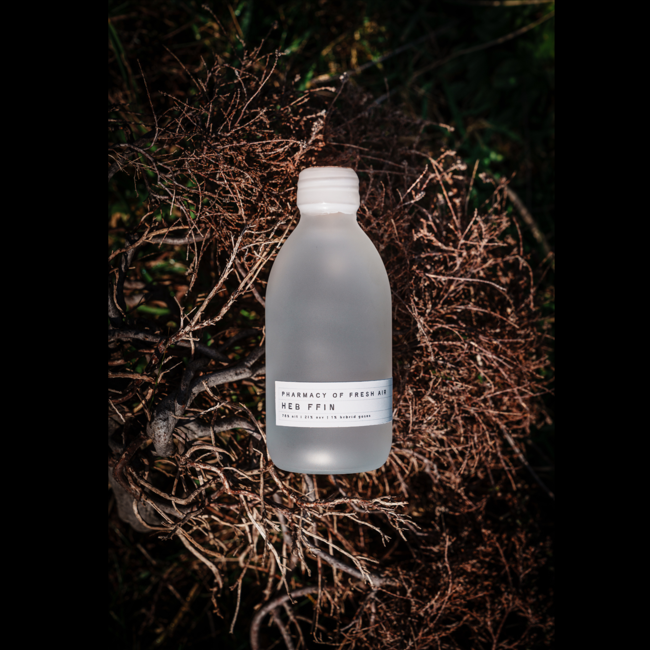 Pharmacy of Fresh Air