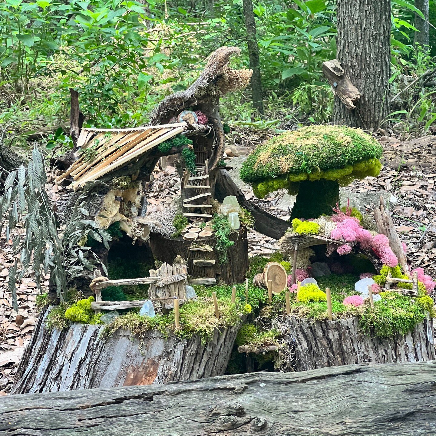 Love is fairy houses. Recently my 21-year-old daughter and I visited a botanic garden exhibiting dozens of fairy houses. The tiny habitats brought back magical memories from her younger years of her own fairy house. 

She loved fairies, and I built h