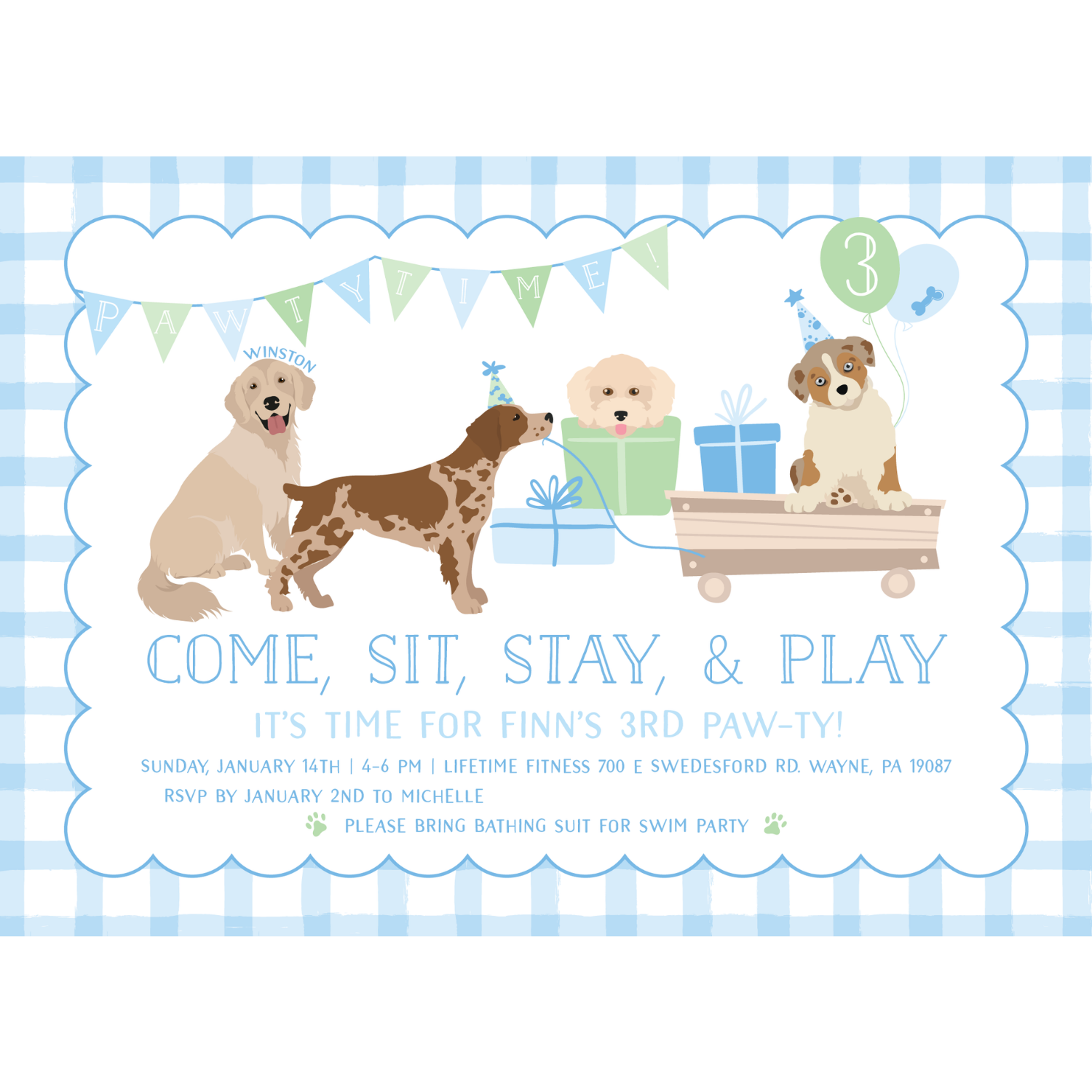 Paw-ty Blue Gingham Invitation