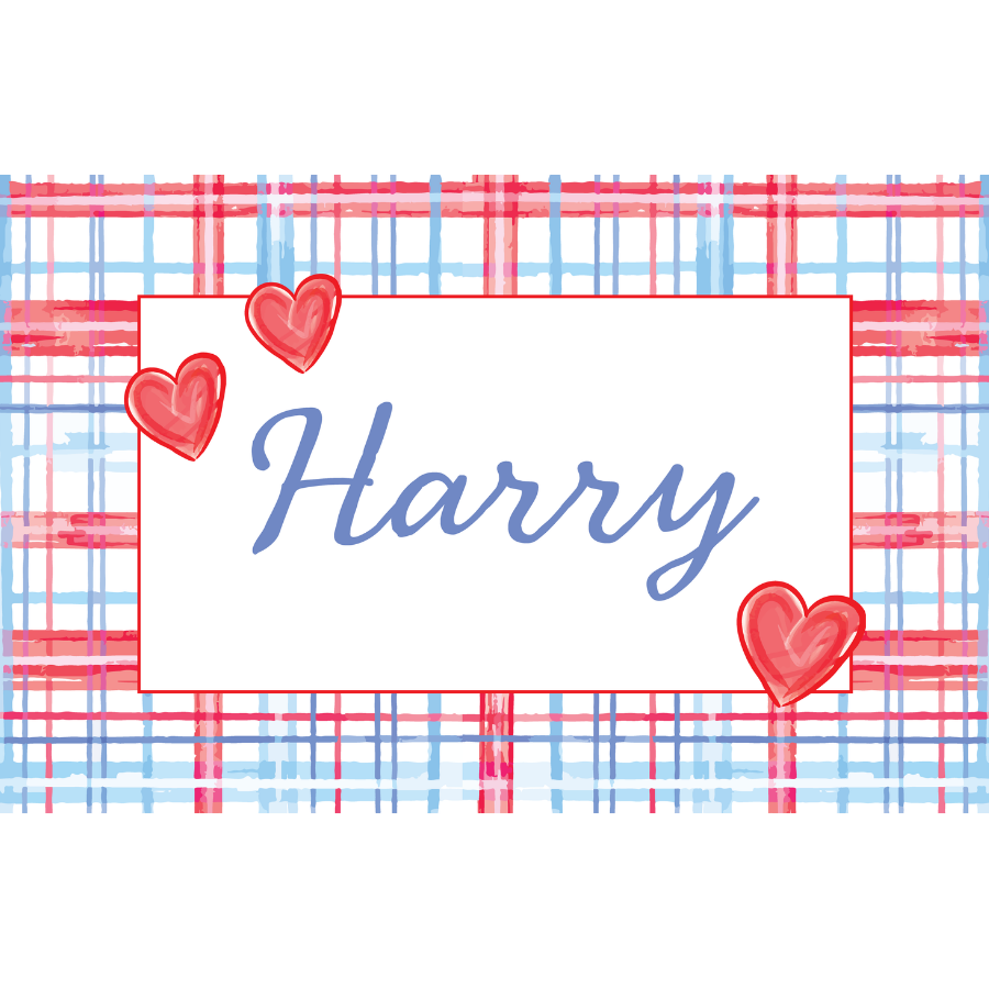 Custom Blue Plaid Valentines Laminated Placemat (Front & Back With Interactive Play Sheet On Back)