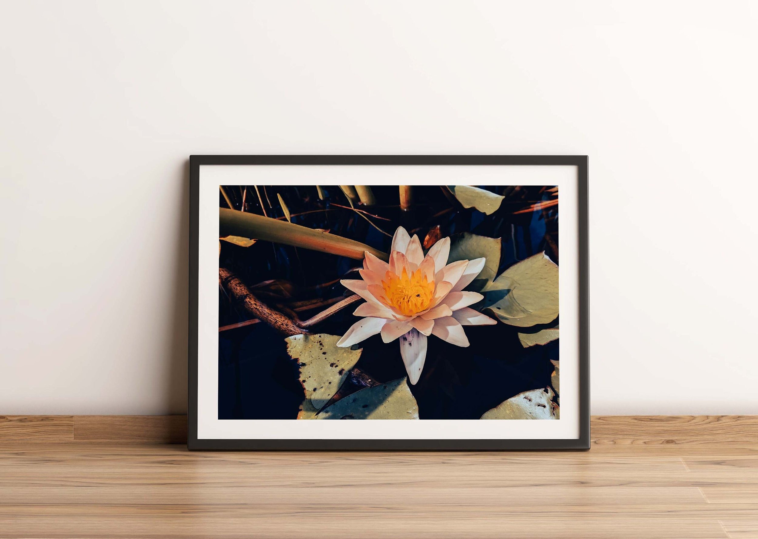 https://i.etsystatic.com/26924603/r/il/1730be/3679411141/il_fullxfull.3679411141_pzd9.jpg