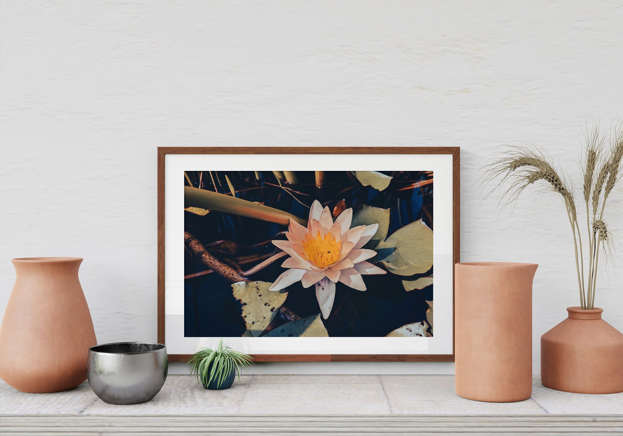 https://i.etsystatic.com/26924603/r/il/7d8bc6/3679293249/il_fullxfull.3679293249_298l.jpg