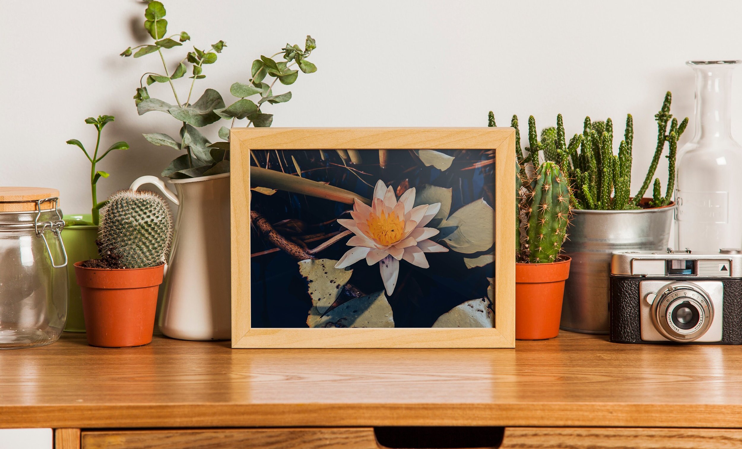 https://i.etsystatic.com/26924603/r/il/03a35c/3631681584/il_fullxfull.3631681584_alyx.jpg