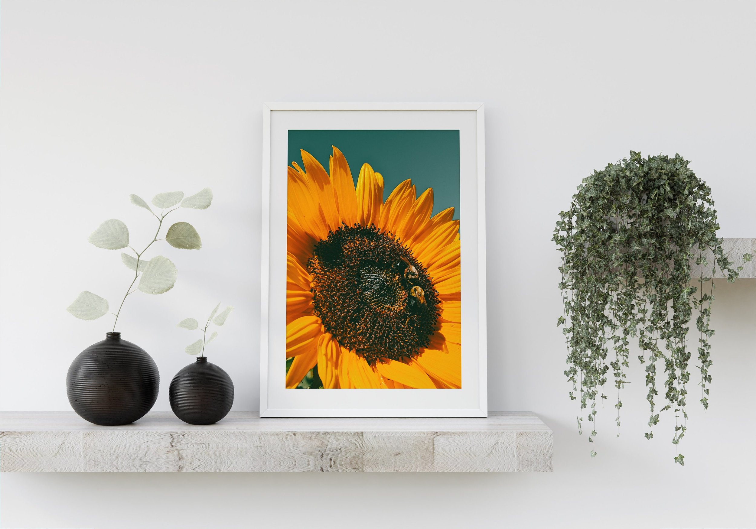 https://i.etsystatic.com/26924603/r/il/d86c3b/3630586588/il_fullxfull.3630586588_mhia.jpg