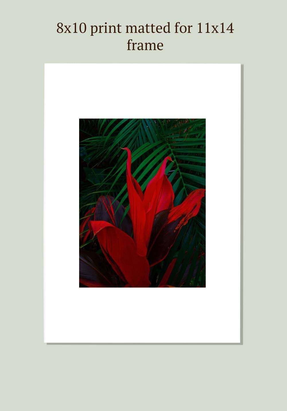 https://i.etsystatic.com/26924603/r/il/f7927a/3864305114/il_fullxfull.3864305114_tuz5.jpg