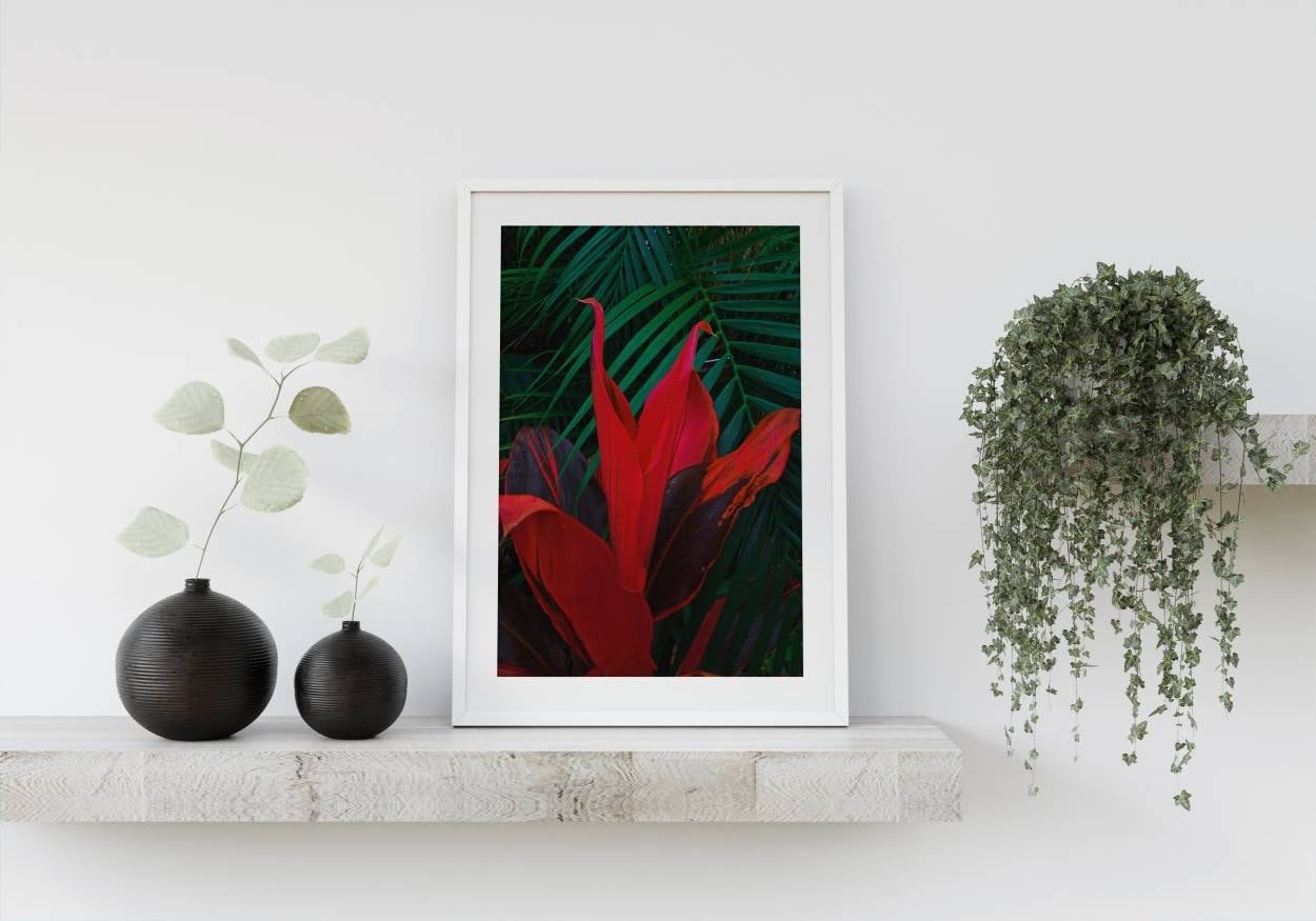 https://i.etsystatic.com/26924603/r/il/bb5690/3864305142/il_fullxfull.3864305142_e060.jpg