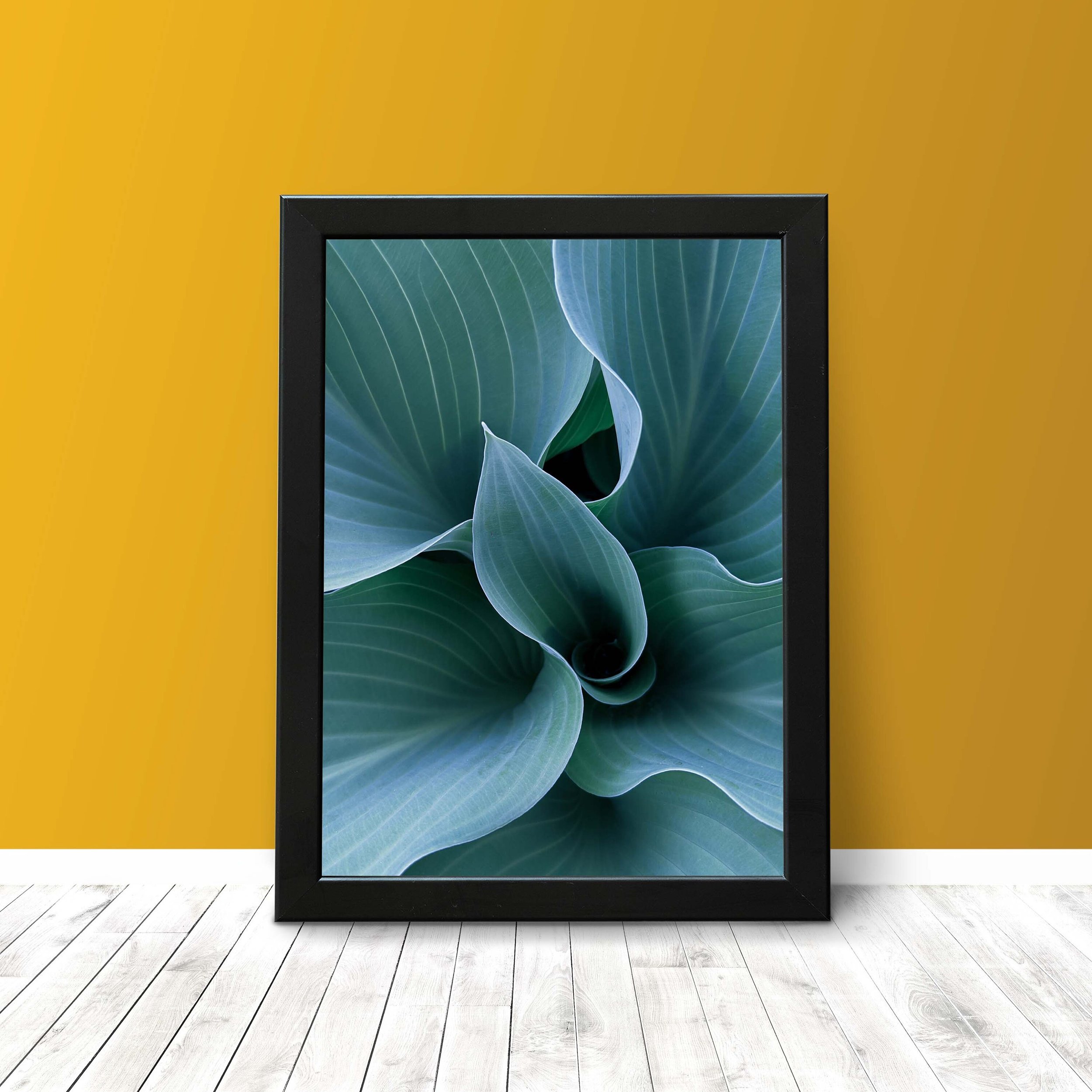https://i.etsystatic.com/26924603/r/il/890c29/3632160998/il_fullxfull.3632160998_p3o0.jpg