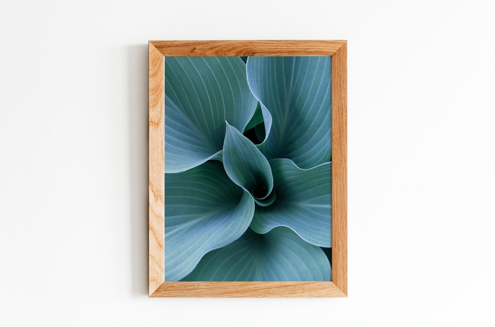 https://i.etsystatic.com/26924603/r/il/a4d6c0/3973128778/il_fullxfull.3973128778_b758.jpg