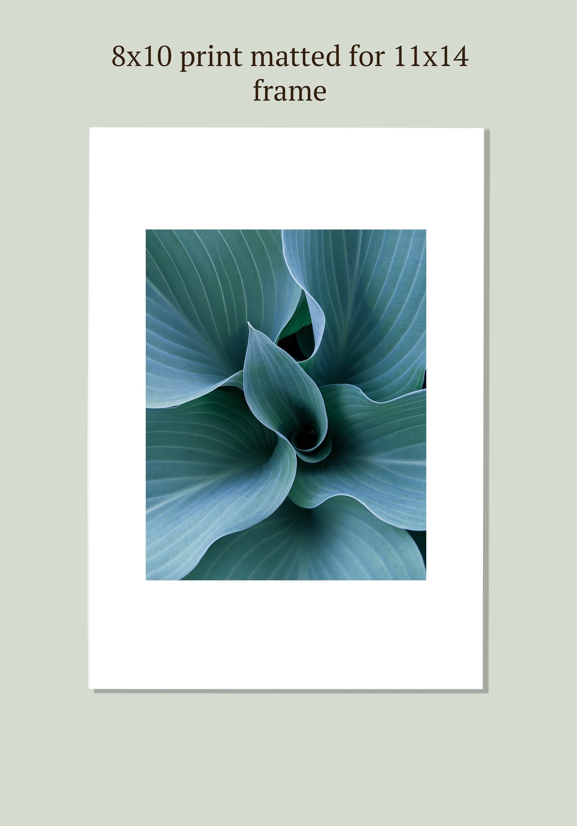 https://i.etsystatic.com/26924603/r/il/55b5ae/3630658152/il_fullxfull.3630658152_kk6s.jpg