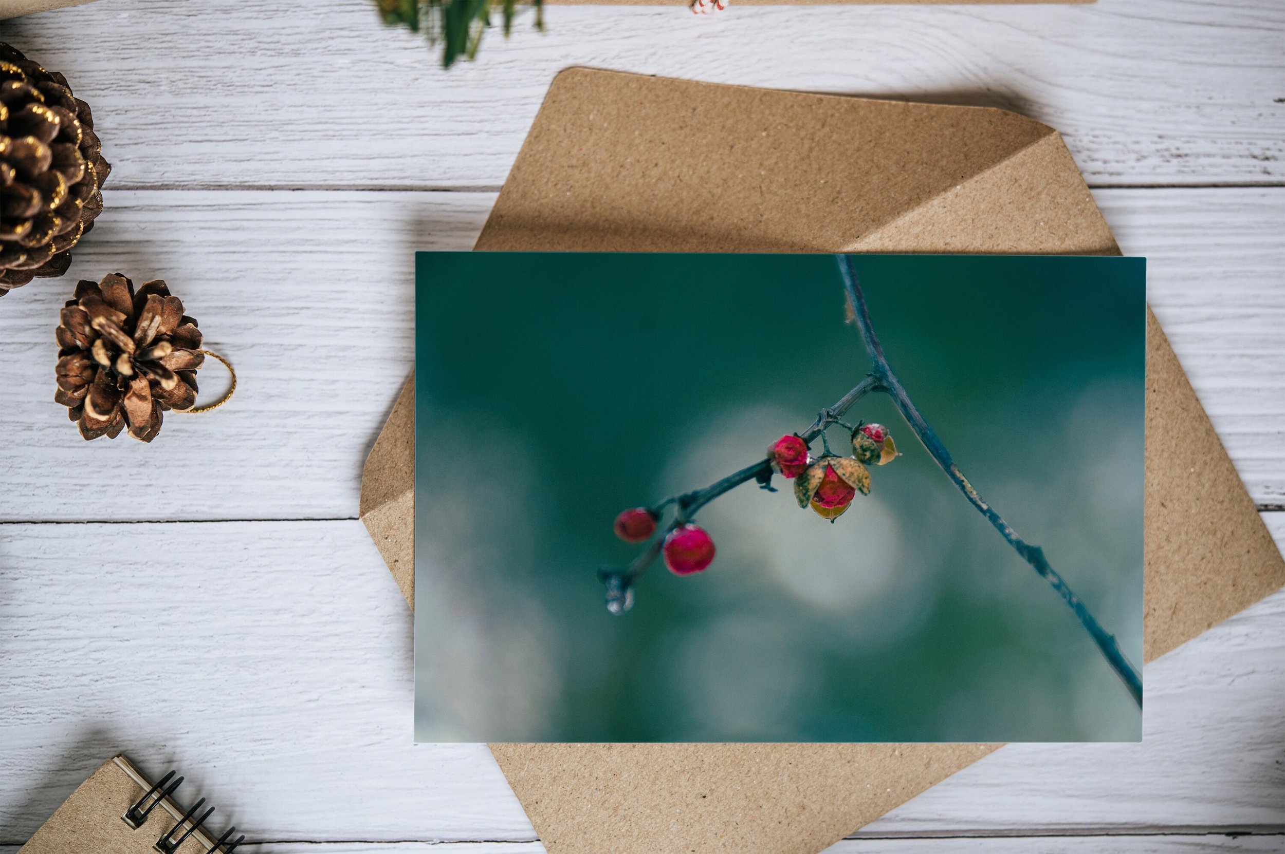 https://i.etsystatic.com/26924603/r/il/5ba4e7/4386895502/il_fullxfull.4386895502_6wq5.jpg