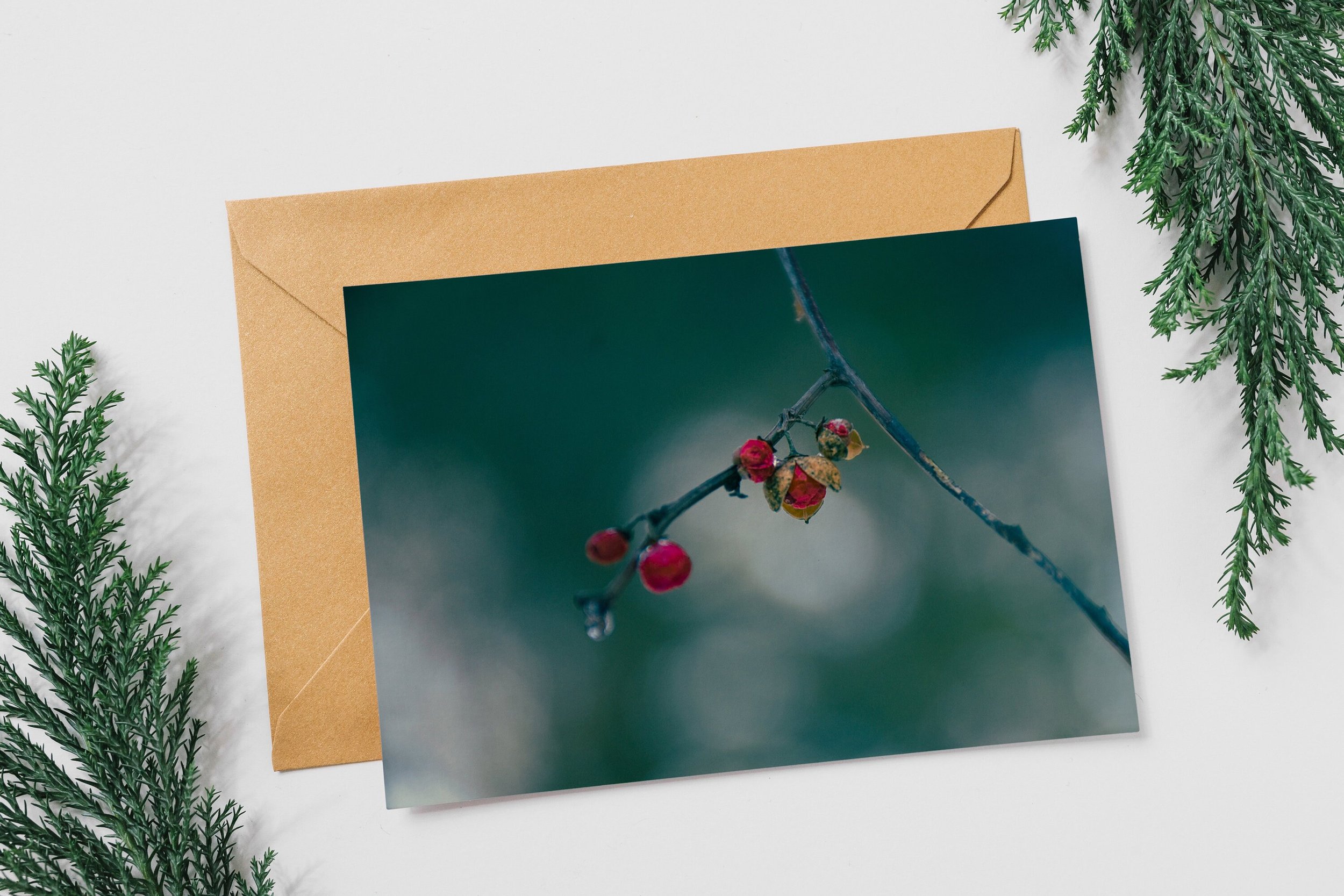 https://i.etsystatic.com/26924603/r/il/3321ae/4330469807/il_fullxfull.4330469807_7o6r.jpg