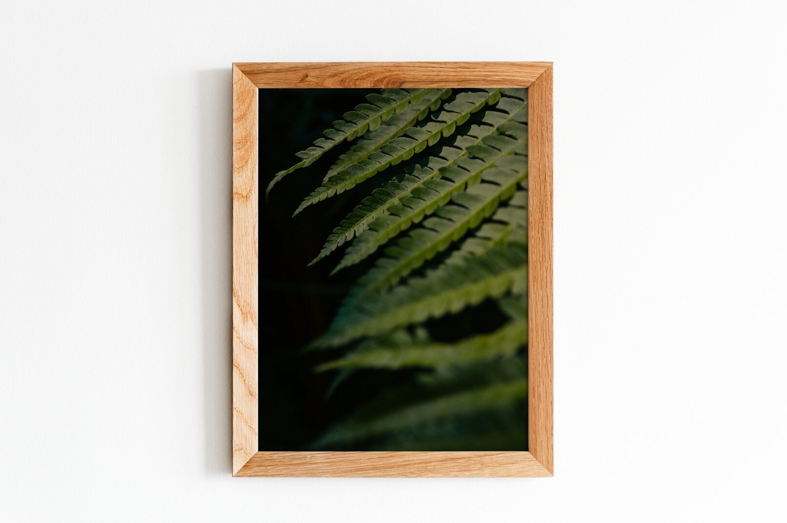 https://i.etsystatic.com/26924603/r/il/d2df02/4020644149/il_fullxfull.4020644149_6pla.jpg