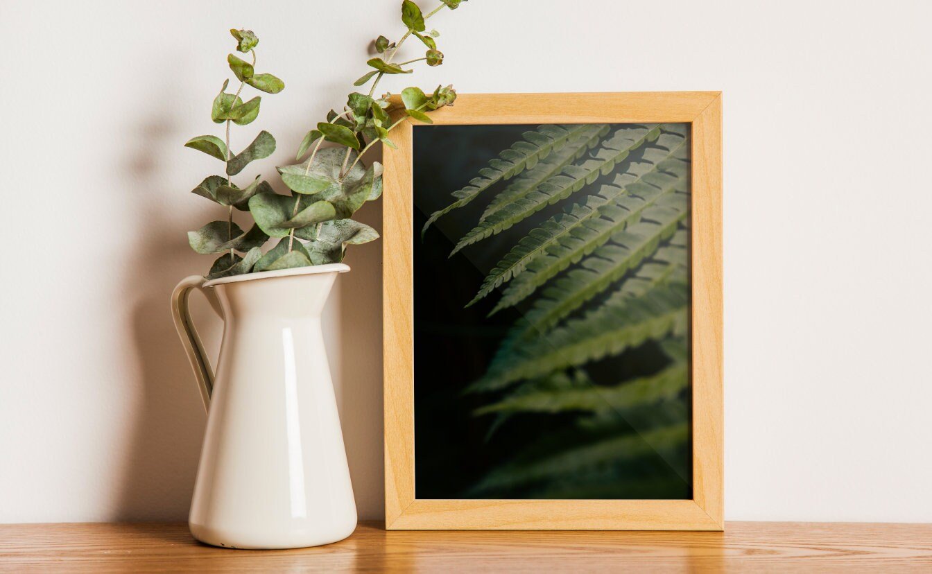 https://i.etsystatic.com/26924603/r/il/79ba22/3972987724/il_fullxfull.3972987724_qx7b.jpg