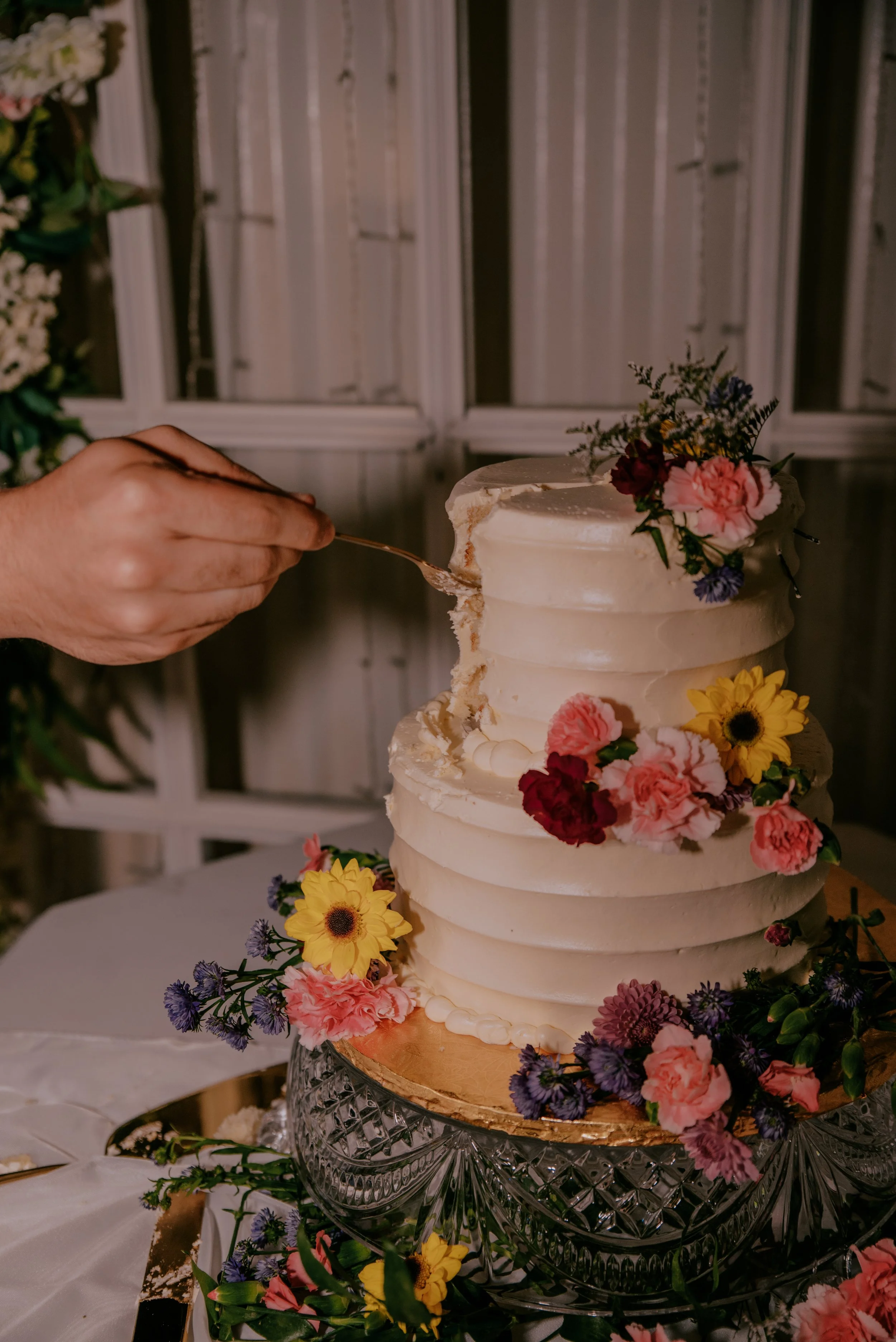 Mohannand and Michelle -242.jpg