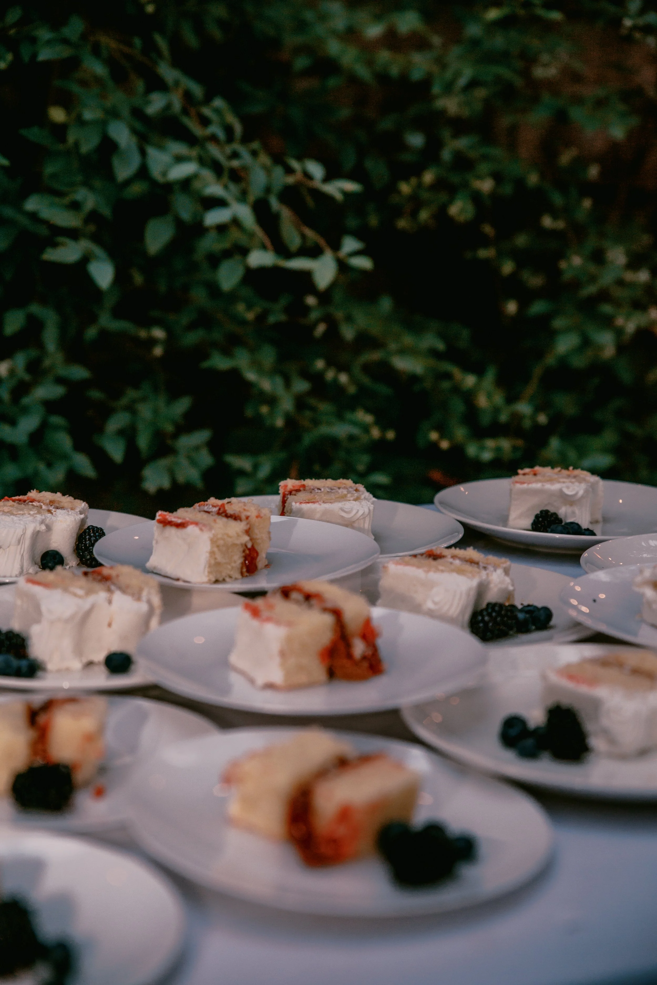 Bernadette and Jacob 6_21_25-300.jpg