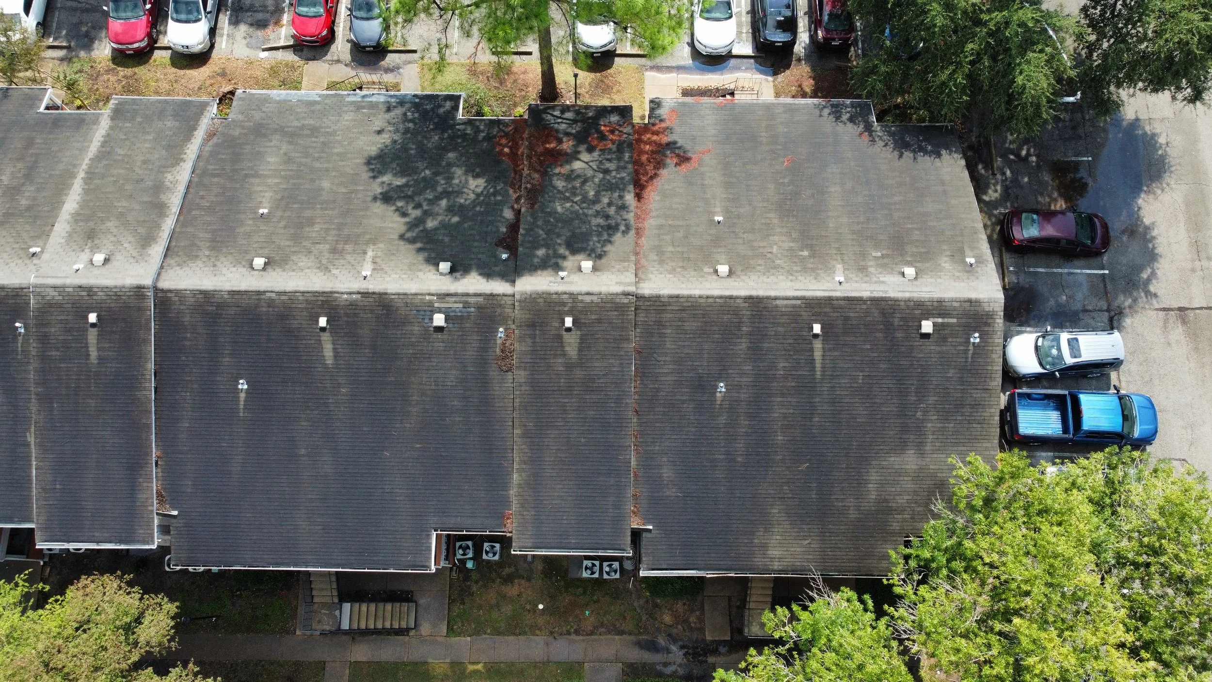 dji_fly_20241103_123132_872_1730659834031_photo_optimized.jpeg