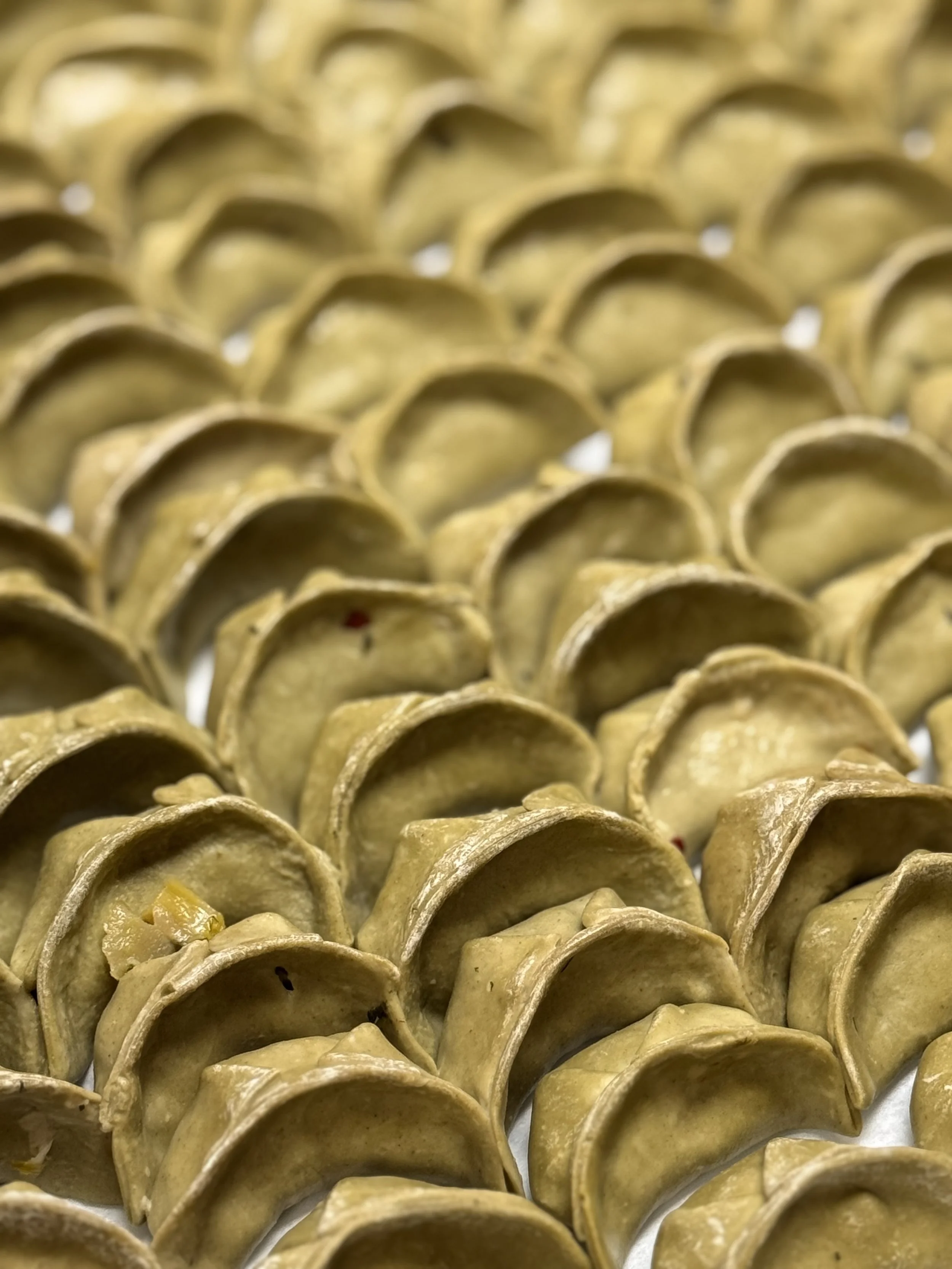 Photo Feb 21 2025, 3 21 07 PM.jpg