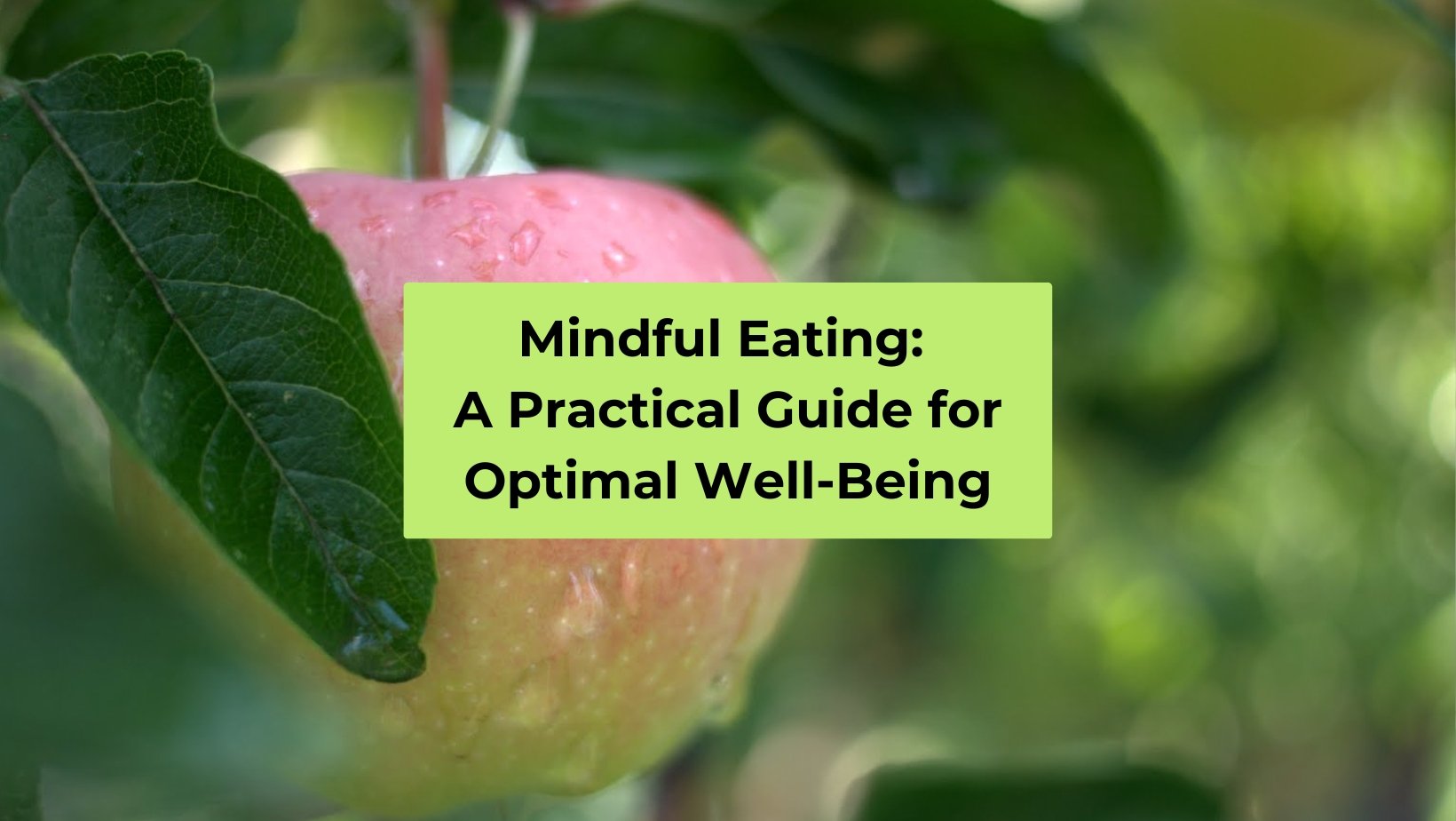 Mindful Eating: A Practical Guide for Optimal Well-Being