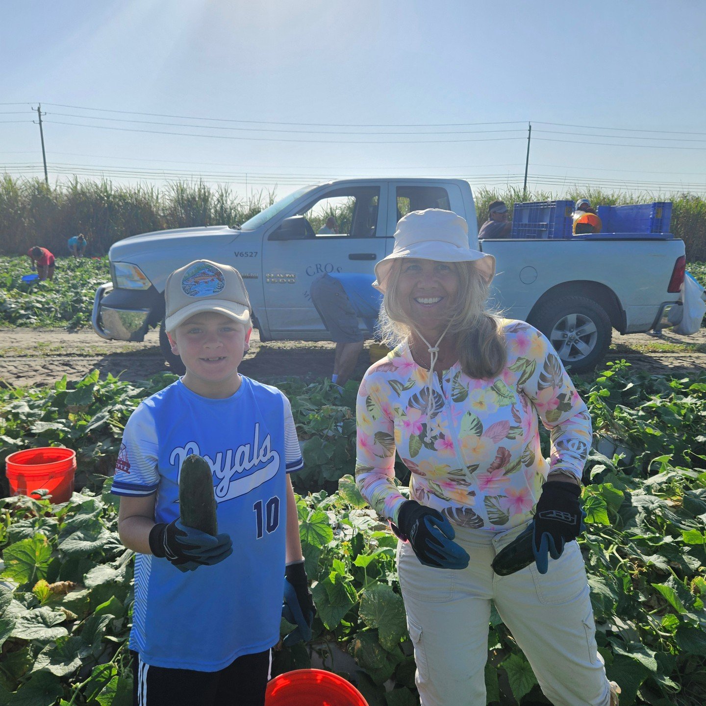 Gleaning, Boynton Beach.