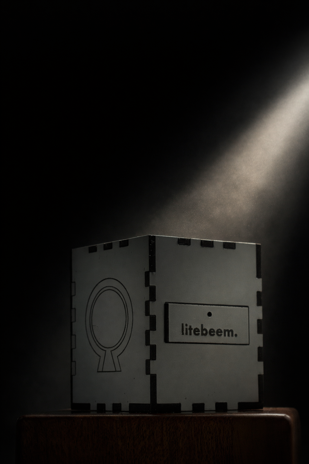 Brass Wolf Workshop_Litebeem._Camera Obscura_Front (2).png