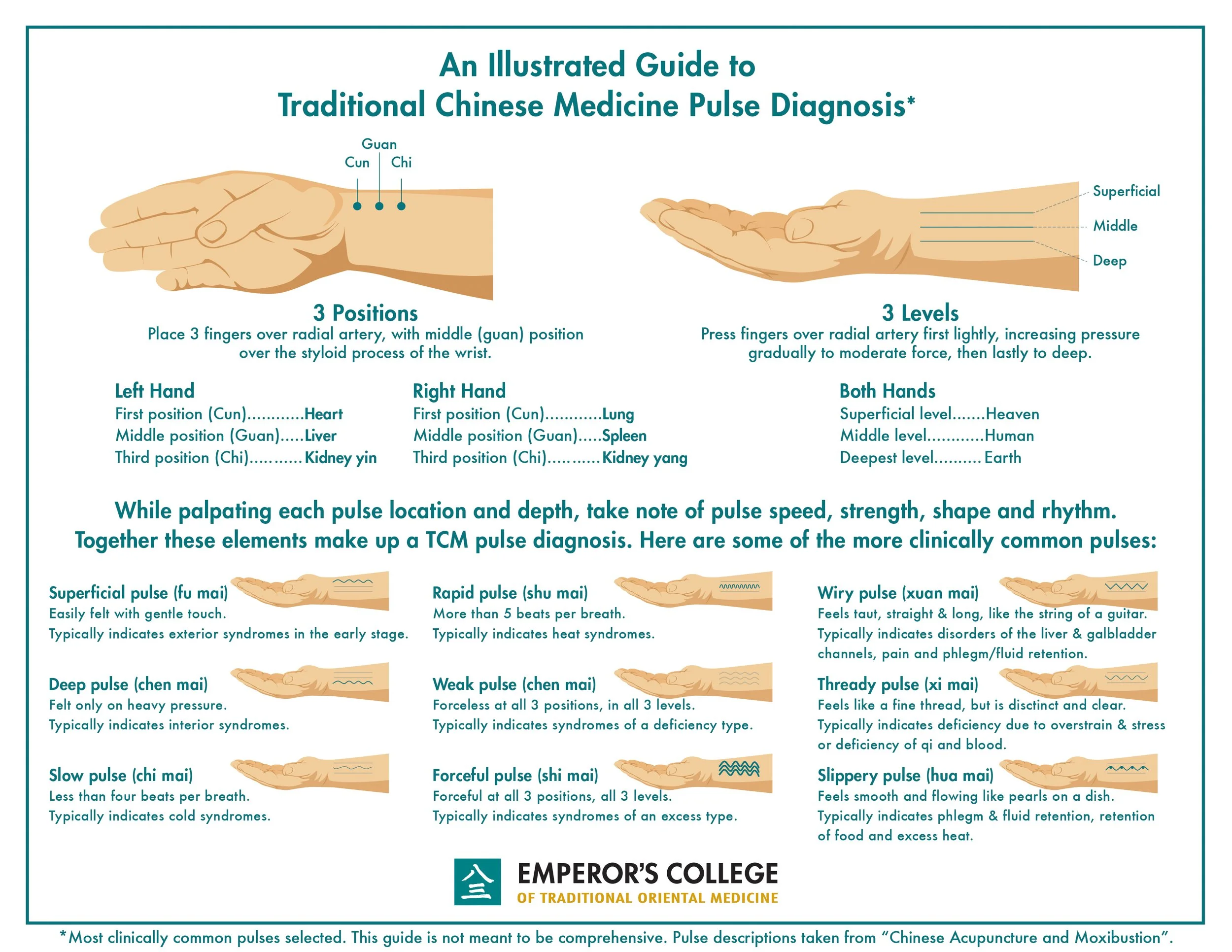 TCM Pulse Diagnosis — Radiant Acupuncture