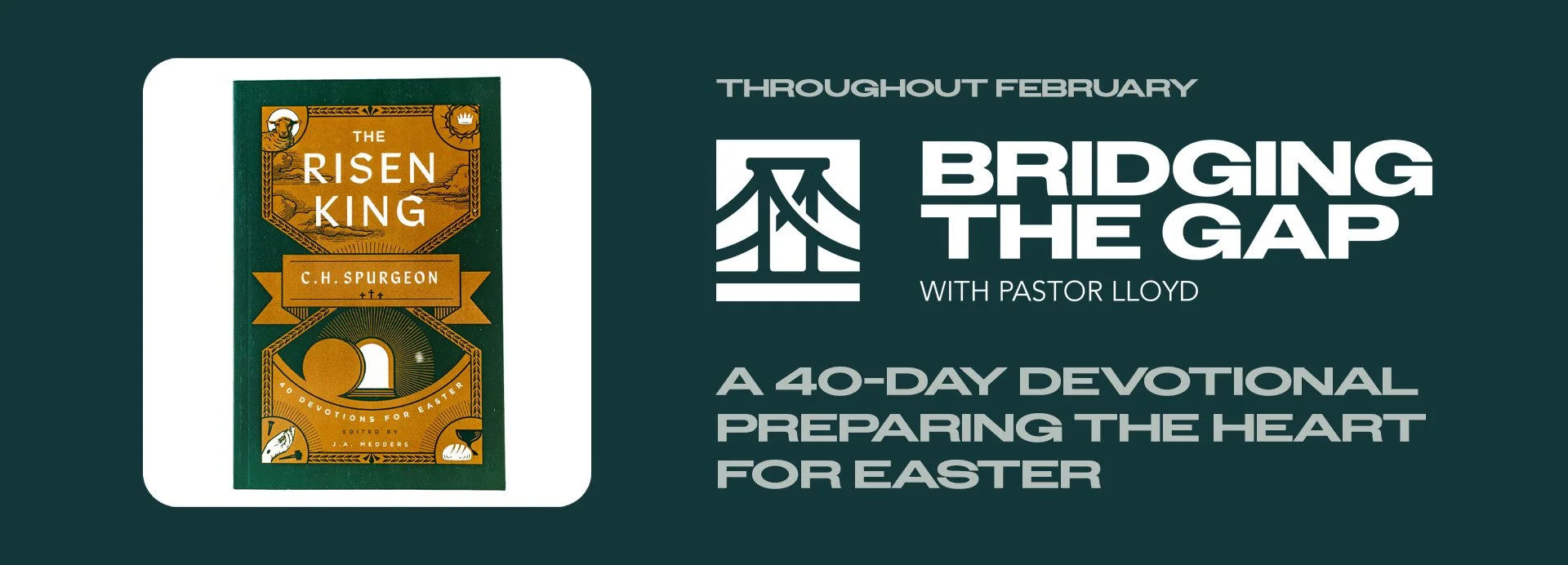 Bridging the Gap - February Offer