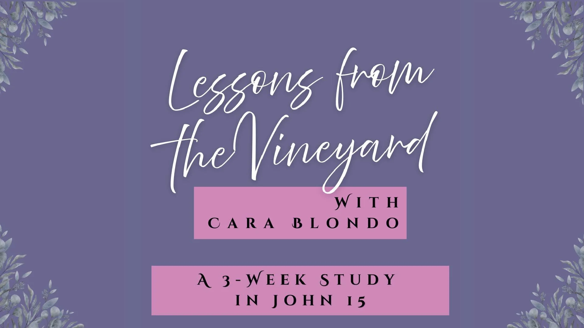 “LESSONS FROM THE VINEYARD” 3 Week Mini Summer Study