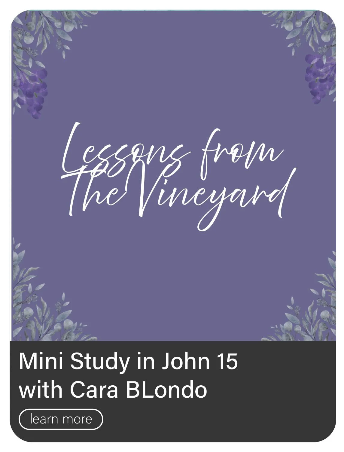 Lessons from the Vineyard Bible Study