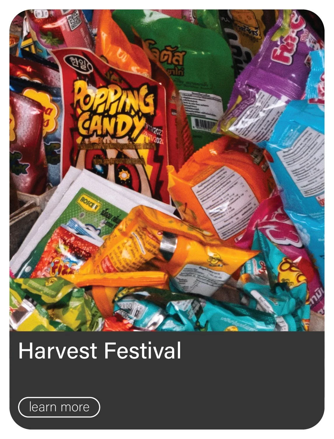 Harvest Festival 2026