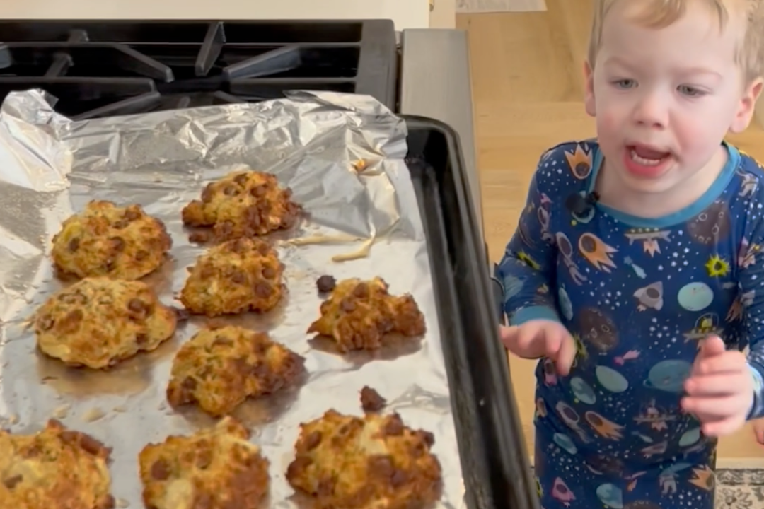 Healthy Protein Cookies