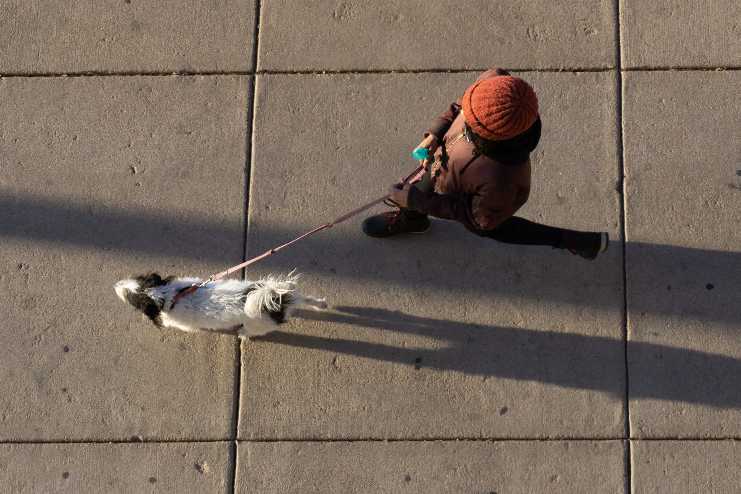 Denver Pedestrian-3.jpg