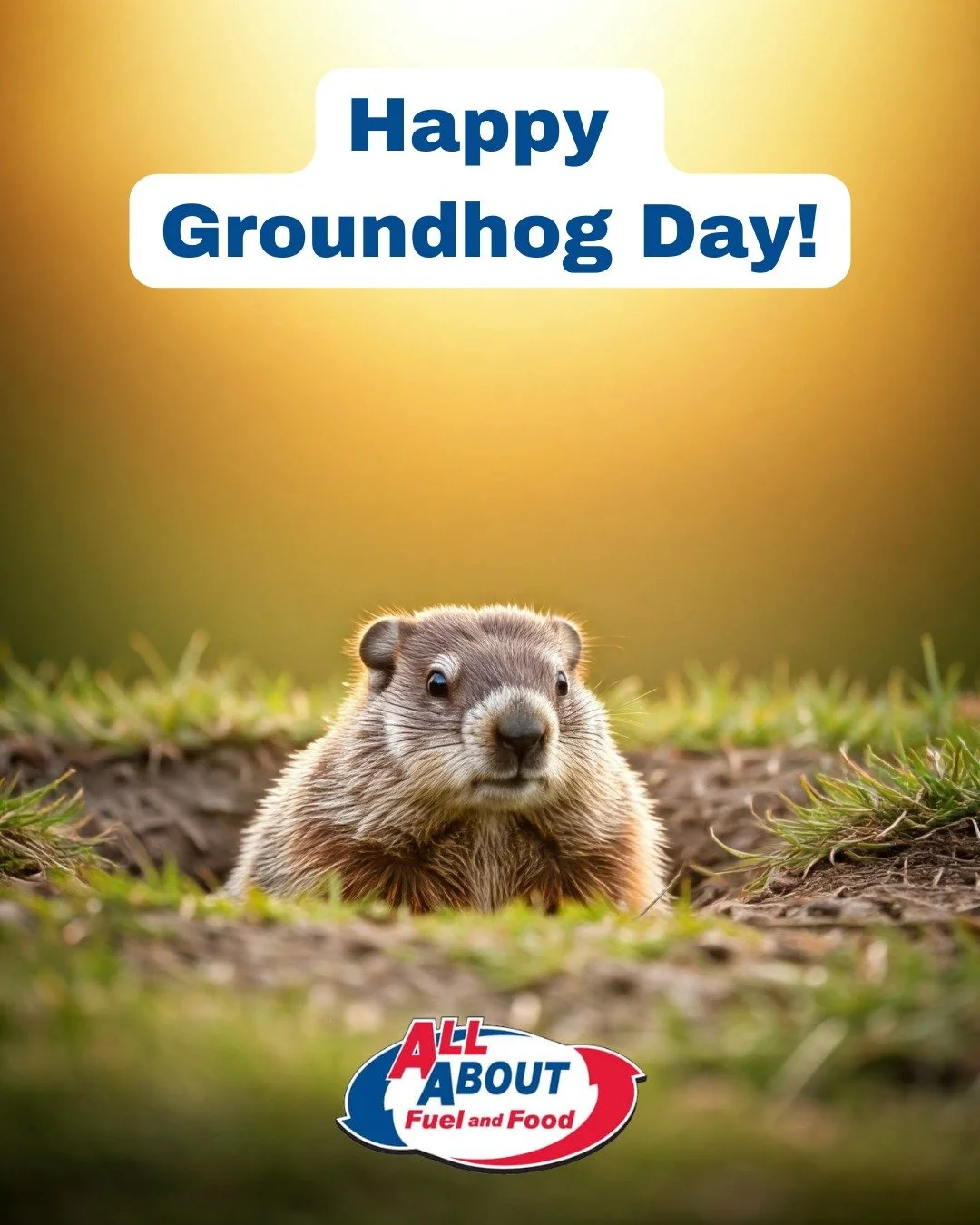 Happy Groundhog Day!  Will we get an early spring, or six more weeks of winter? Either way, stop by All About Fuel &amp; Food for fuel, snacks, and warm drinks to keep you going!

#GroundhogDay #AllAboutFuelAndFood #FuelUp #WarmDrinks #SnacksOnTheGo 
