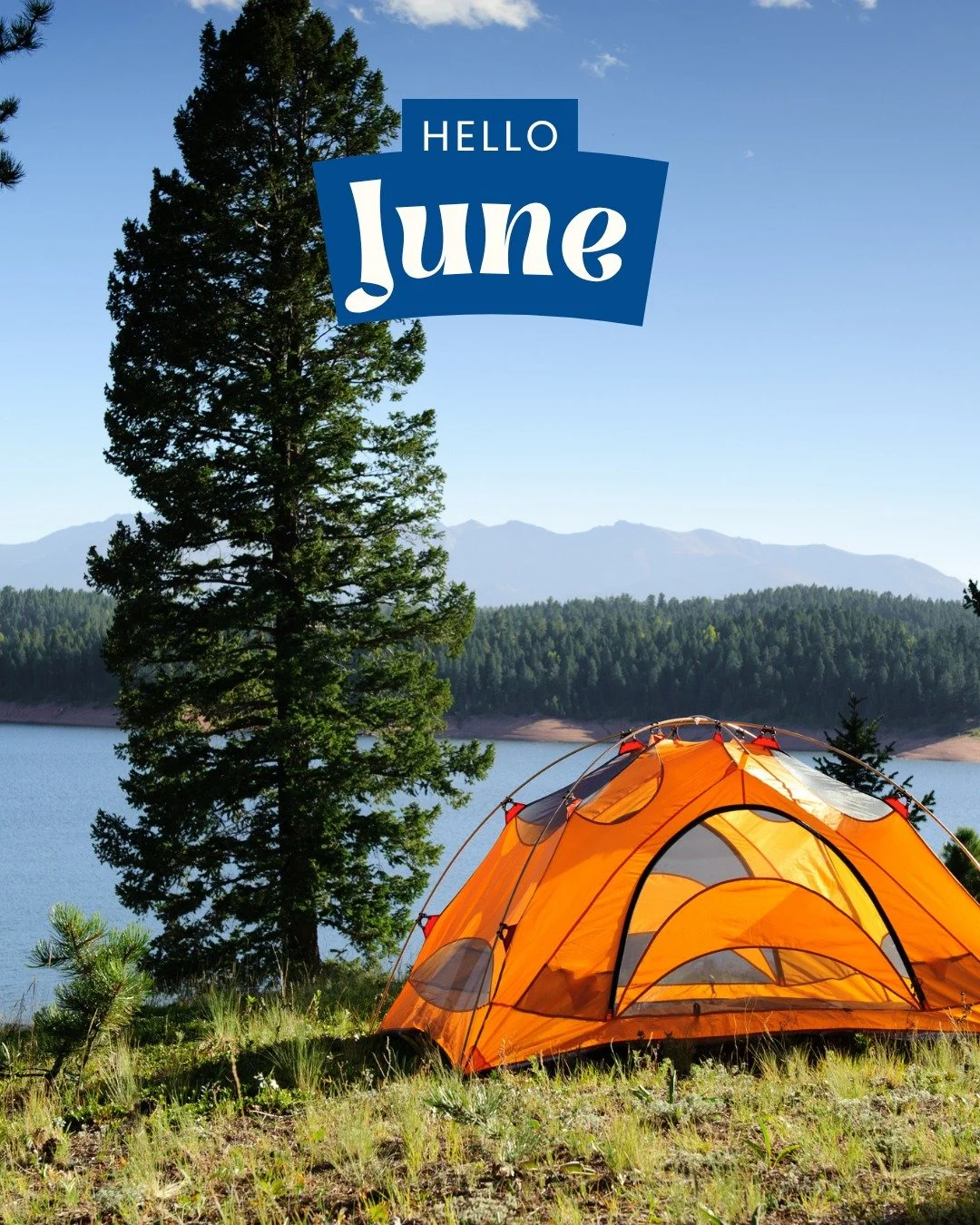 Hello June! ☀️🏕️ Camping season is officially here, and we&rsquo;re ready for road trips, campfires, and weekends in the mountains.

Before you head out, stop by All About Fuel &amp; Food for gas, propane, snacks, drinks, ice, firewood, and all your