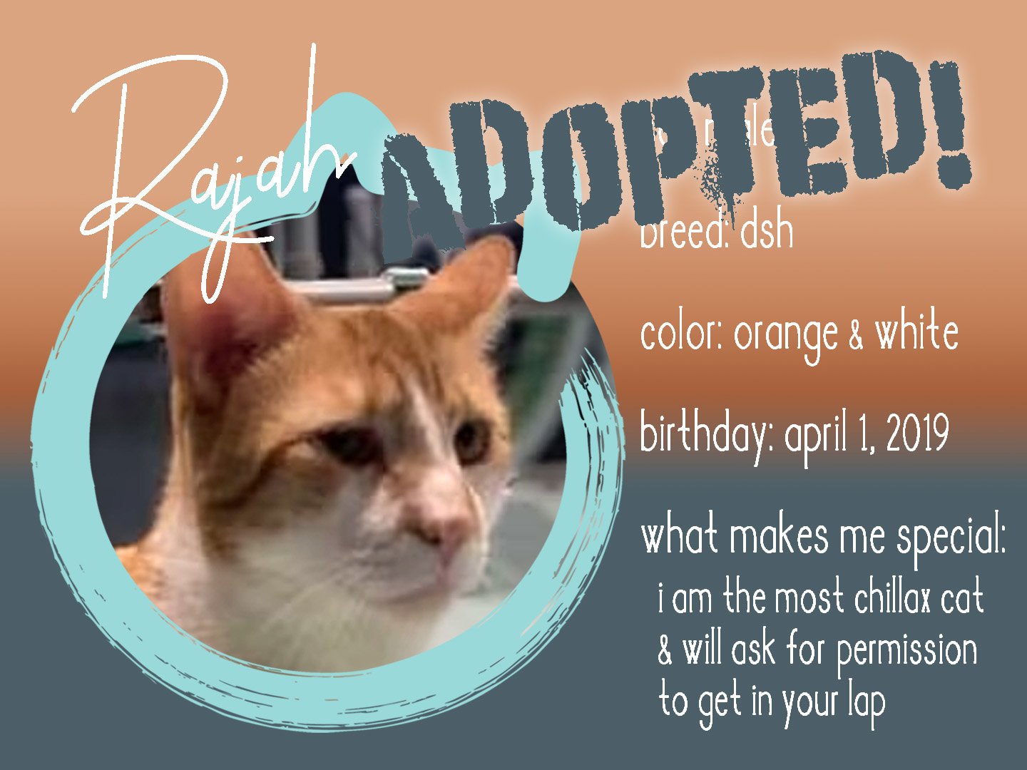 rajah adopted.jpg