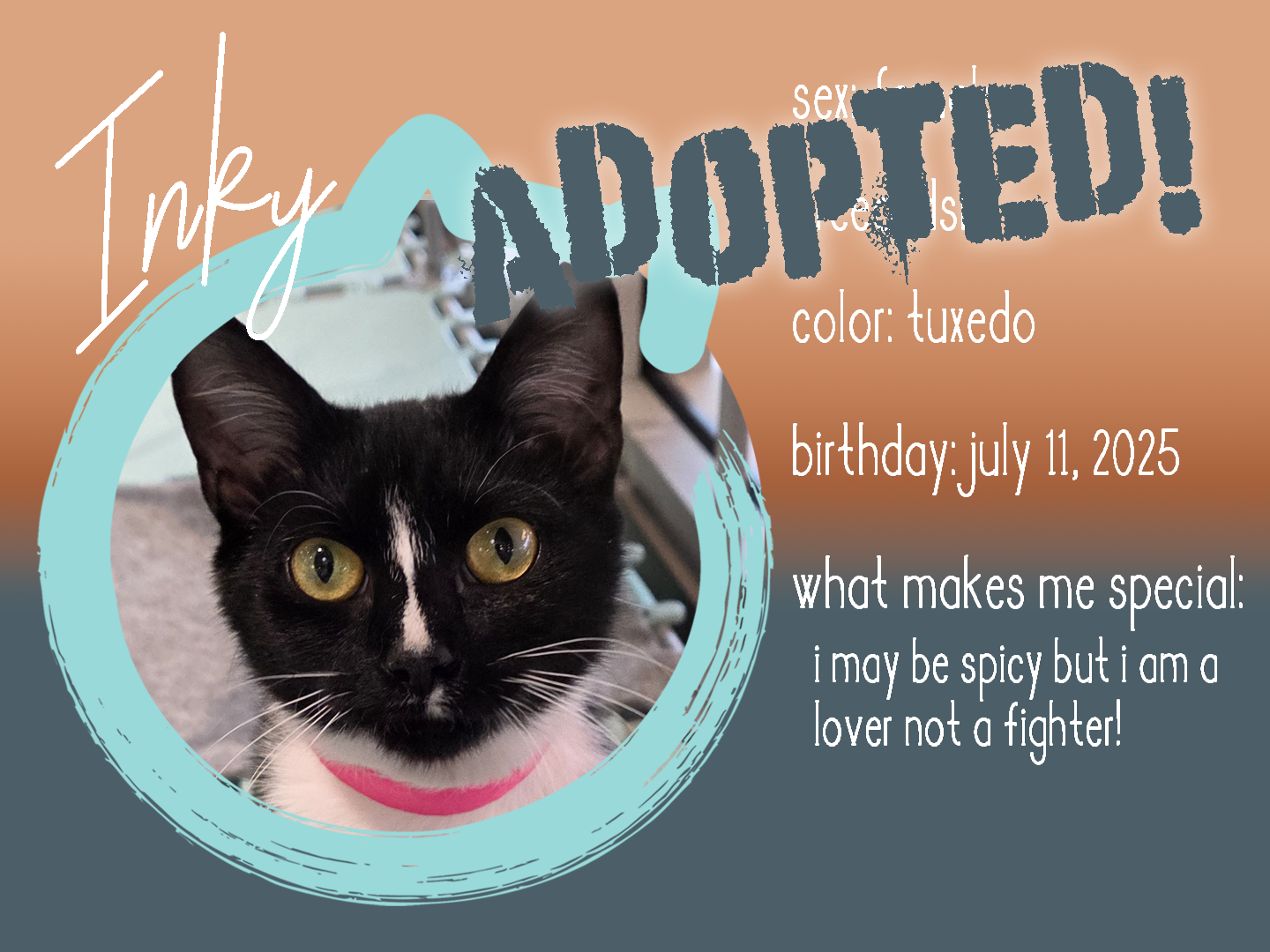 inky adopted.png