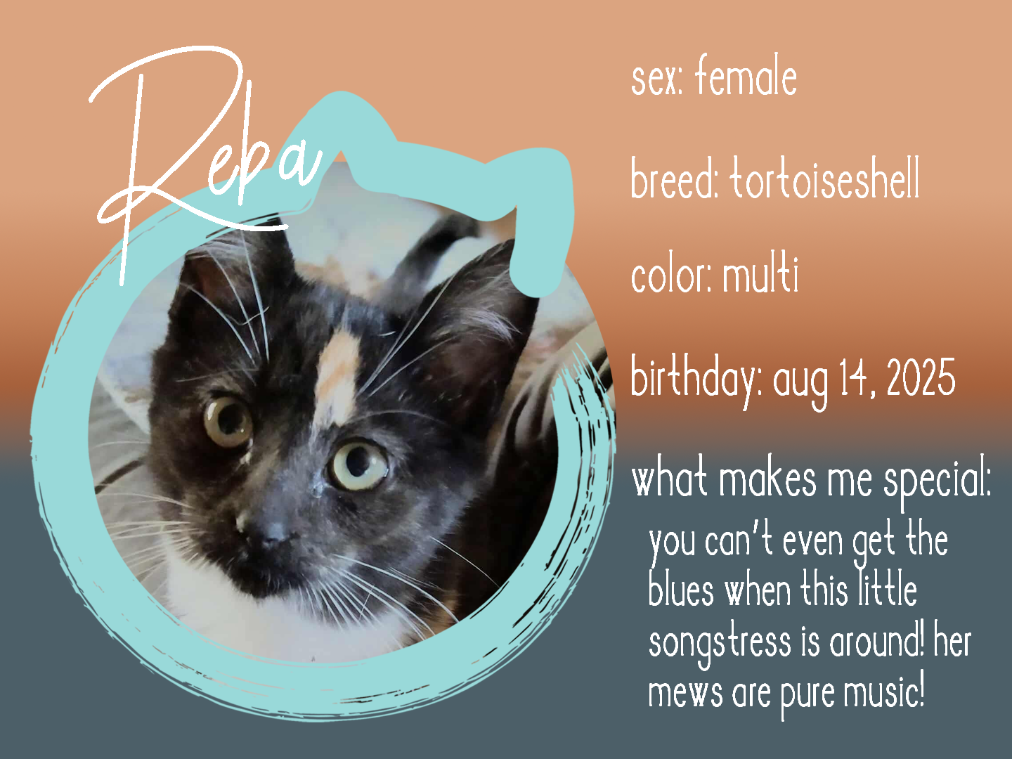 reba info.png