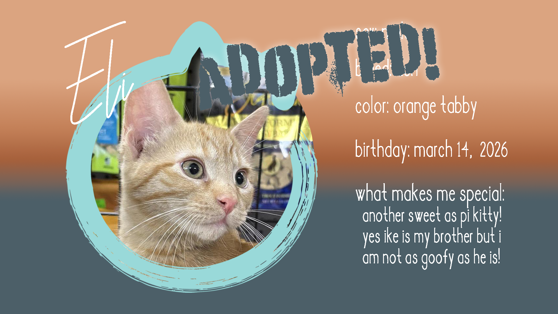 eli adopted.png
