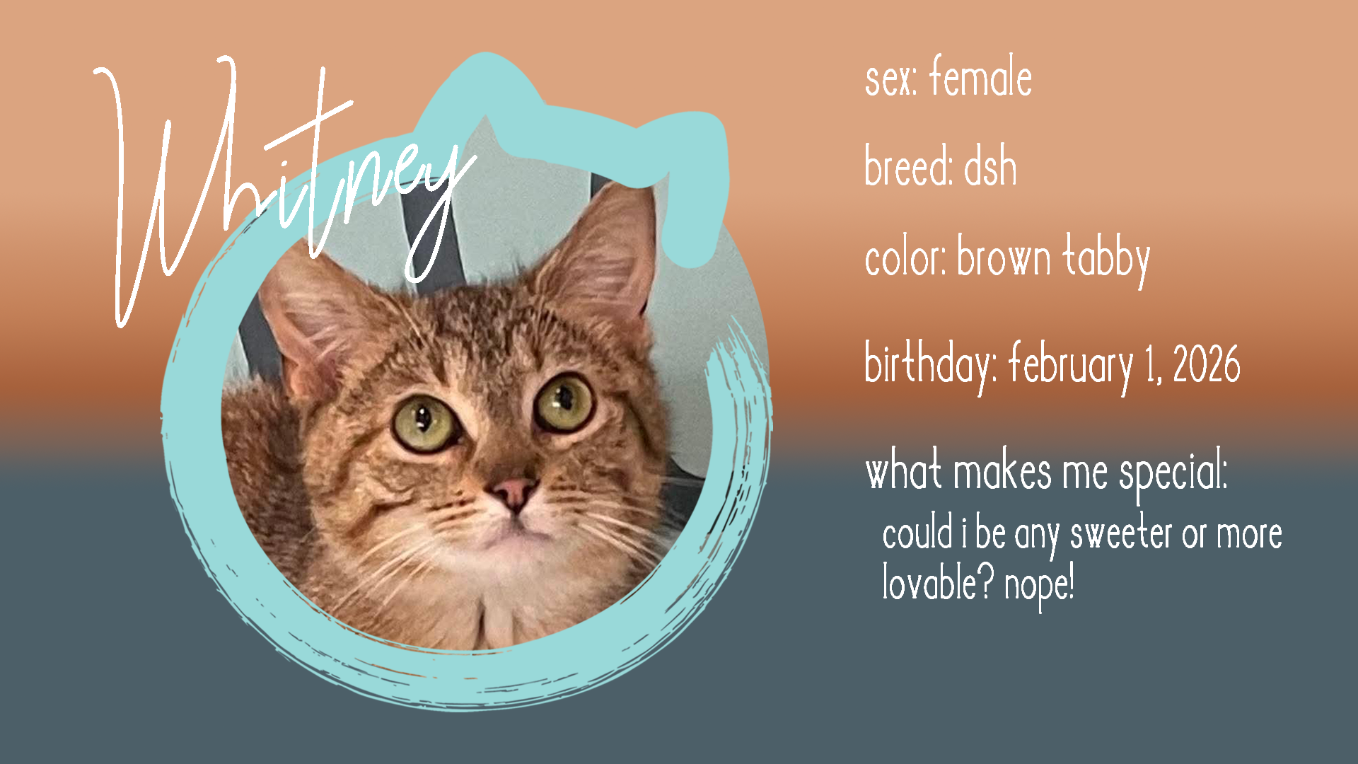 whitney info.png