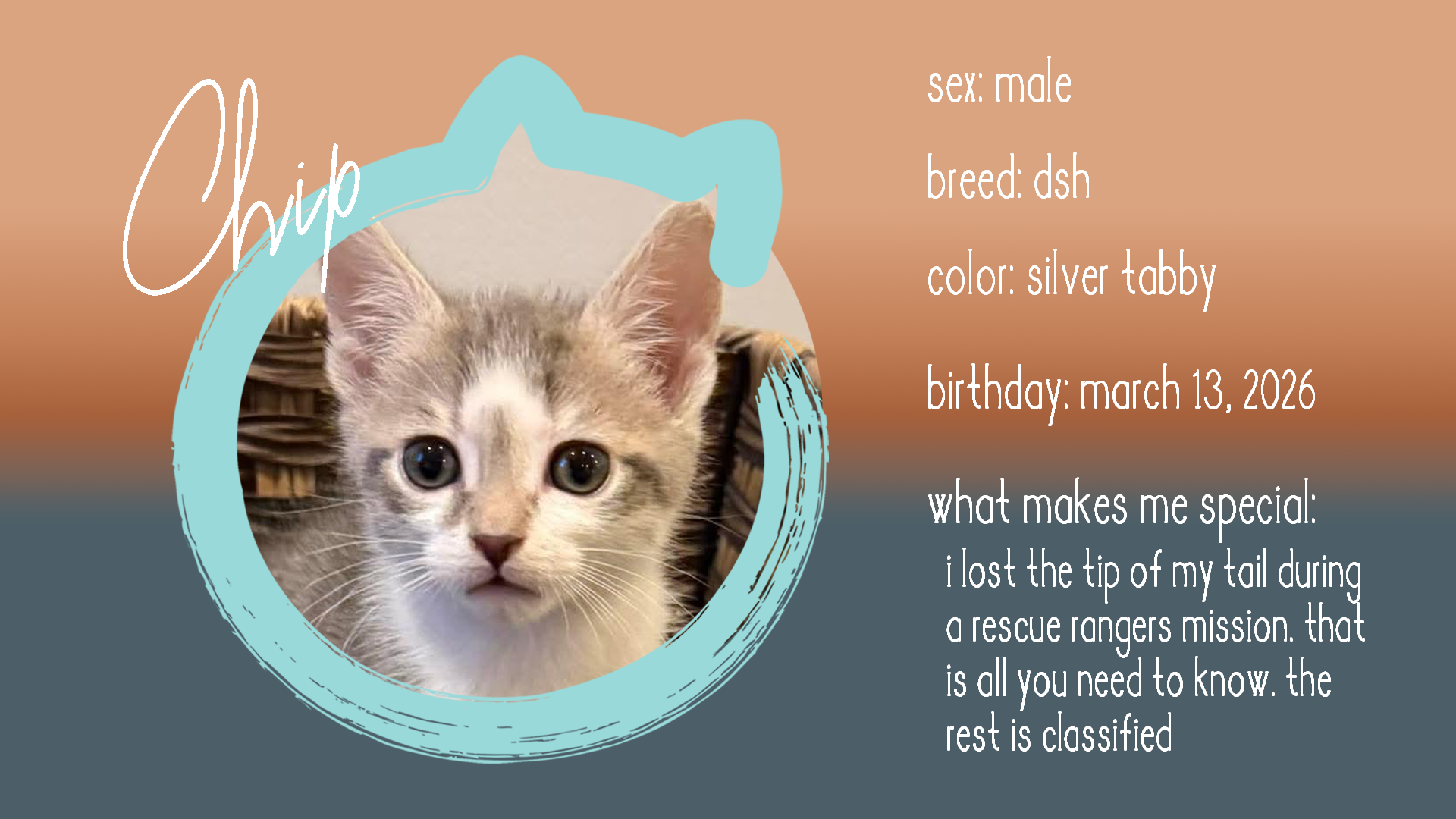 chip info.png