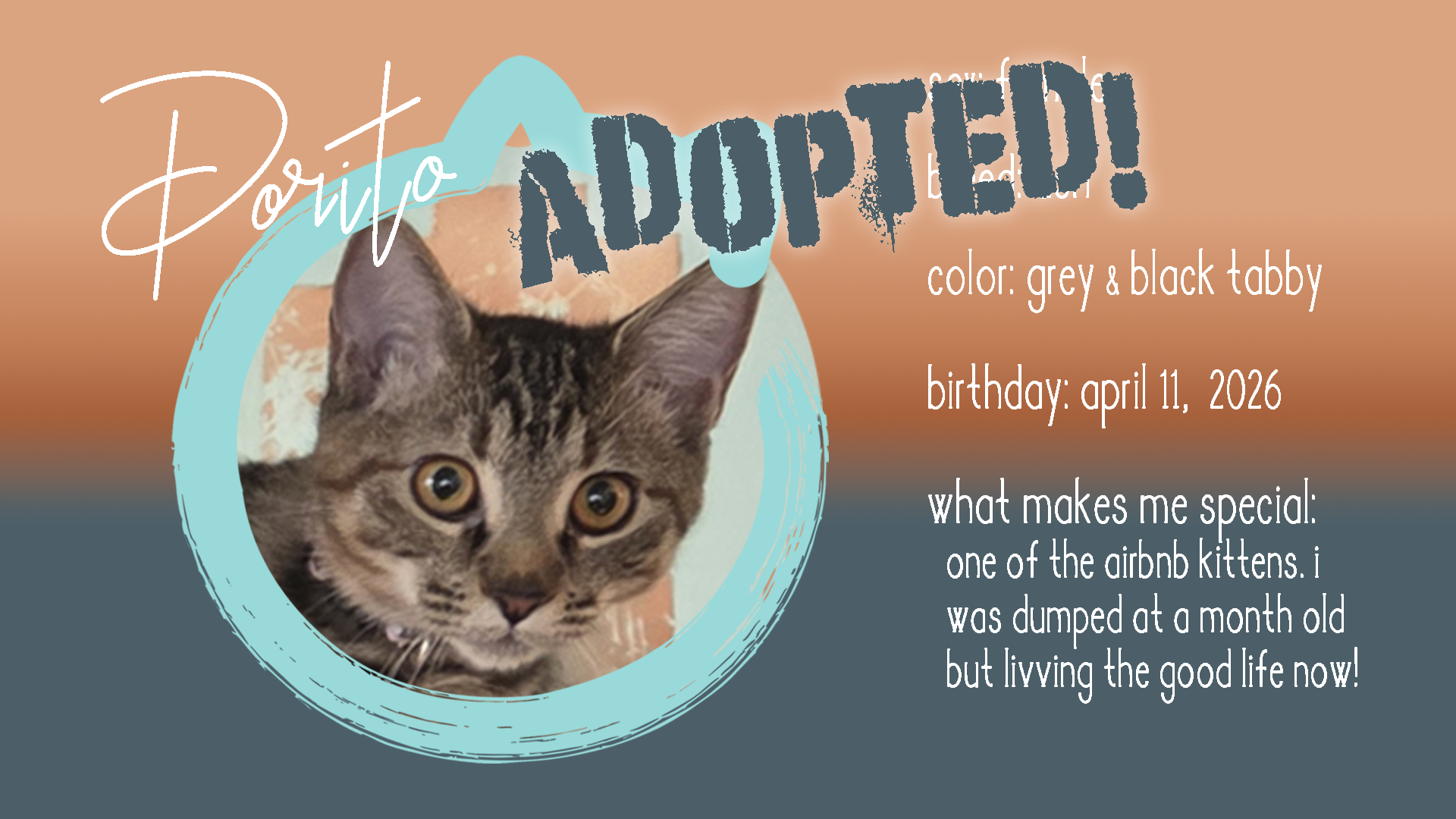 dorito adopted.png