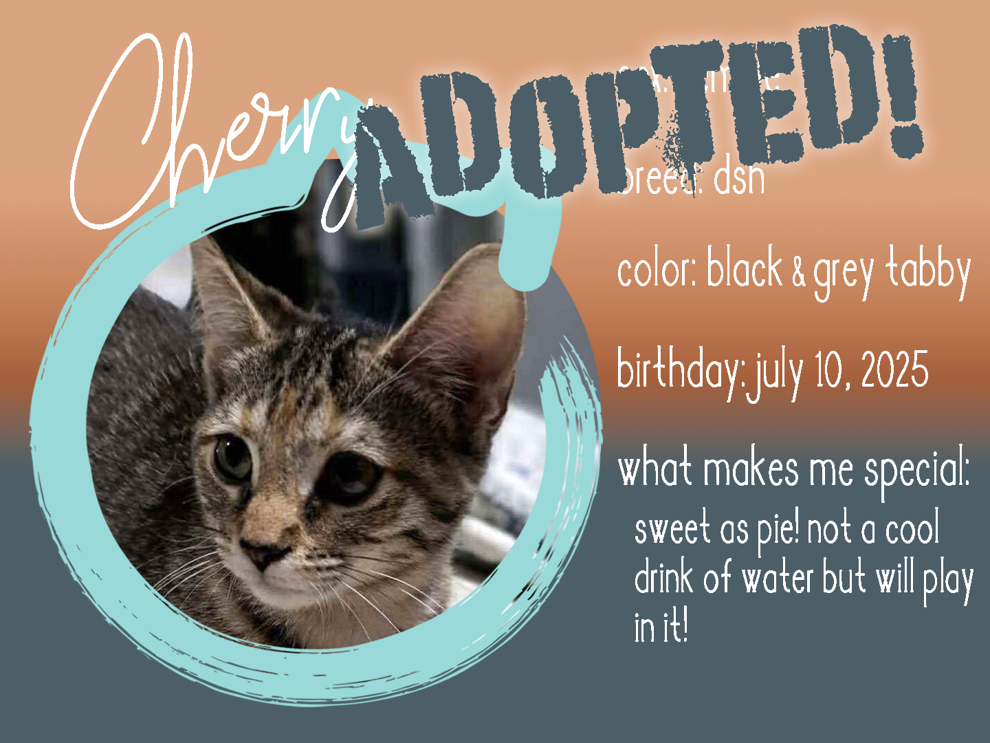cherry adopted.png