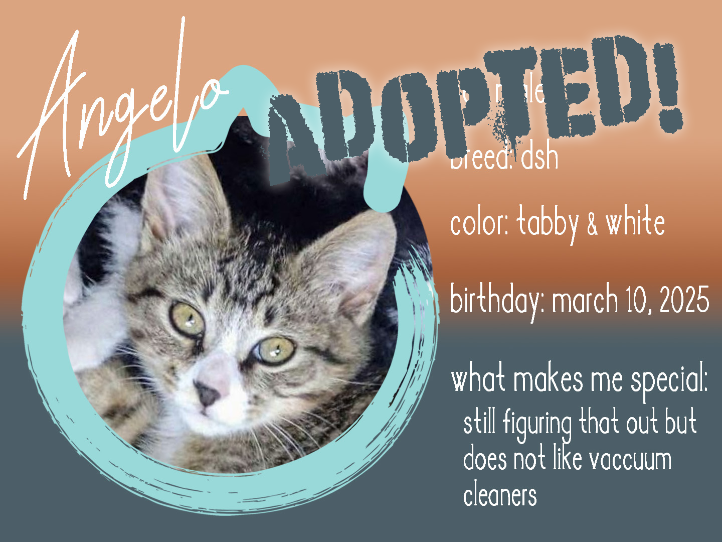 angelo adopted.png