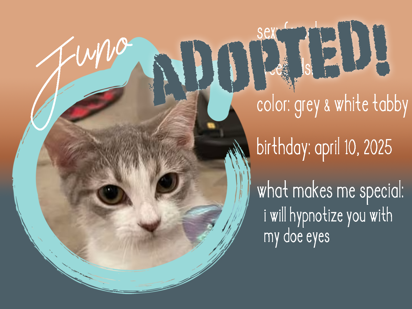 juno adopted.png