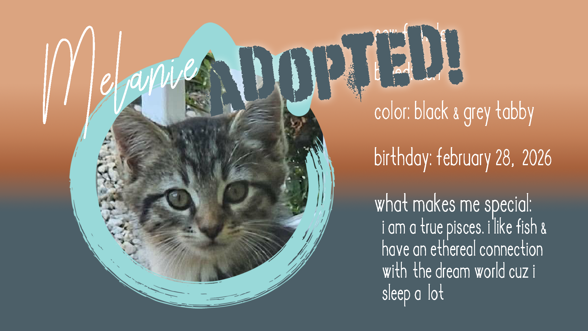 melanie adopted.png