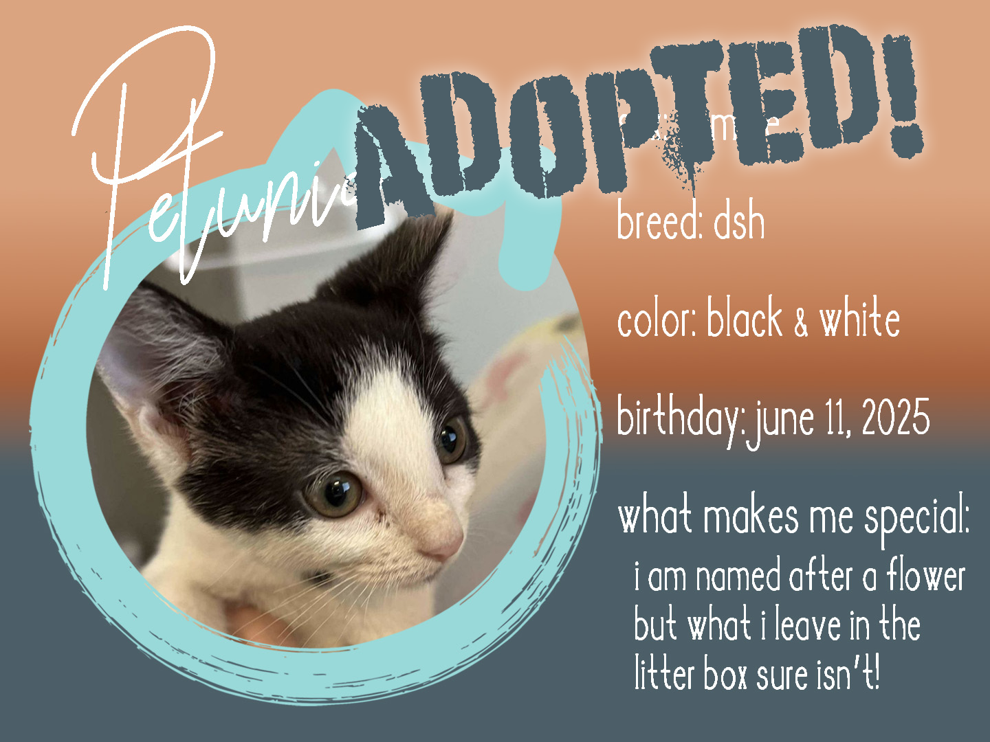 petunia adopted.png