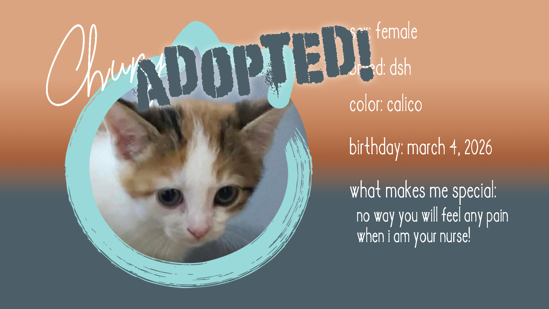 chuney adopted.png
