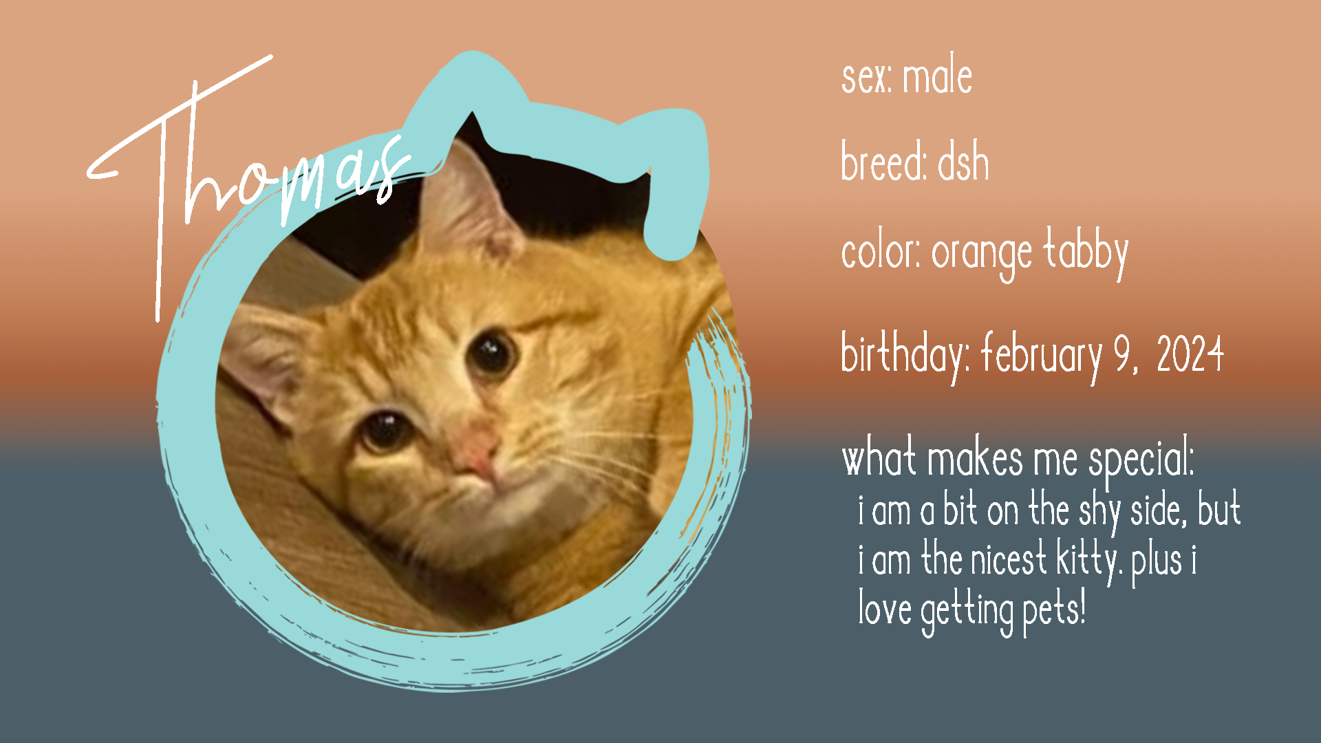thomas info.png