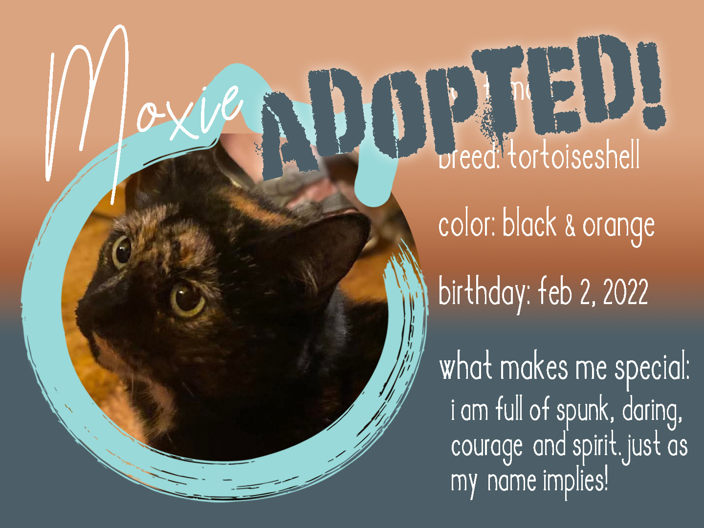 moxie adopted.png