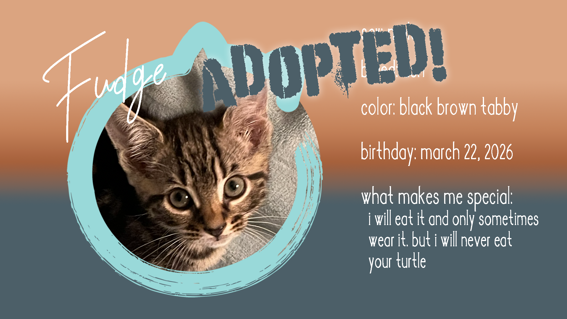 fudge adopted.png